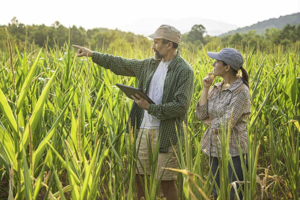 Easy Land Financing Plan