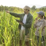 Easy Land Financing Plan