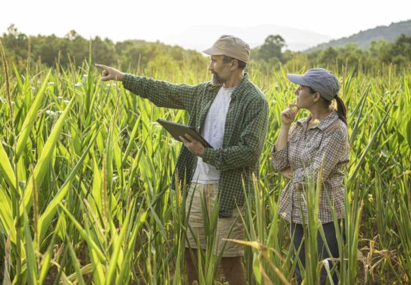 Easy Land Financing Plan