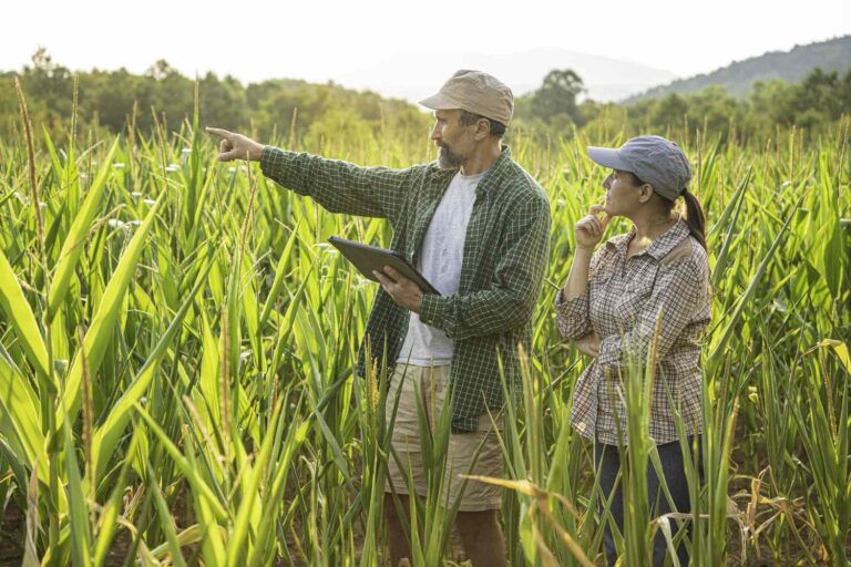Easy Land Financing Plan