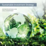 Wealth Sustainability Strategist